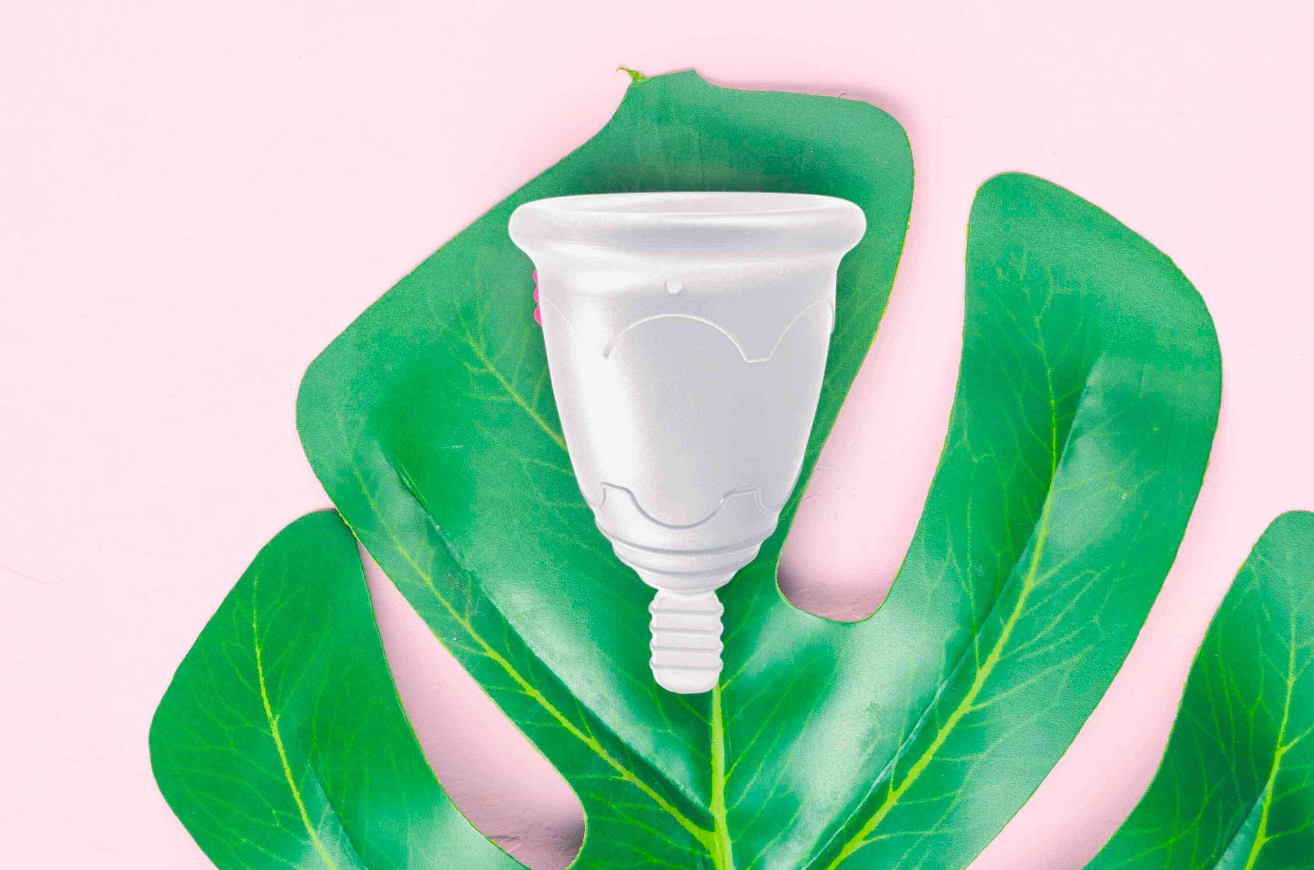 Medio ambiente