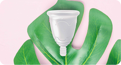 Cuidamos el medio ambiente